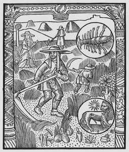 July, haymaking, Cancer, illustration from the 